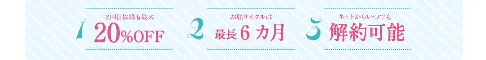 2回目以降も最大20%OFF 1本でも送料無料 ネットからいつでも解約可能