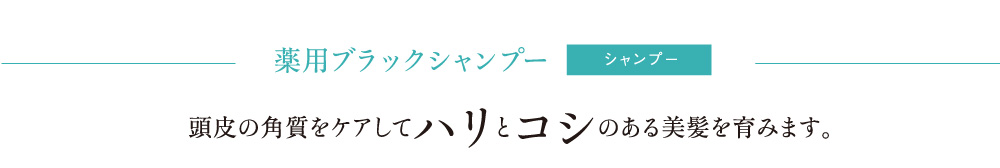 薬用ブラックシャンプー 頭皮の角質をケアしてハリとコシのある美髪を育みます。