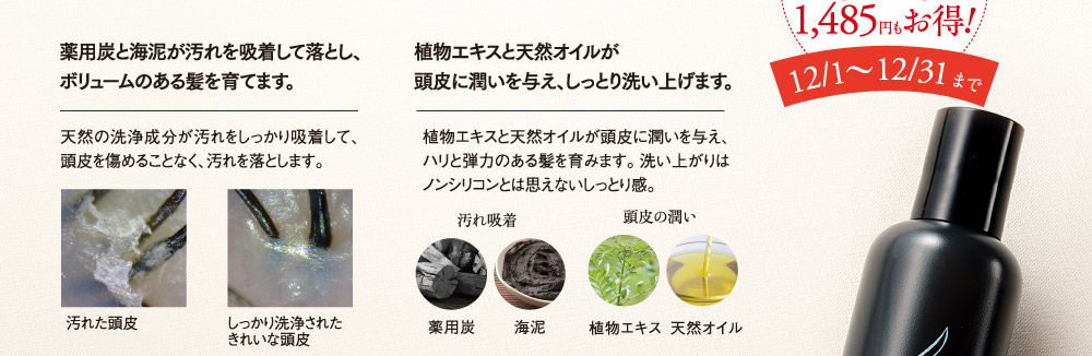 今なら2個購入でボトルタイプが924円もお得！詰替用パウチは1485円もお得！12月1日から12月31日まで