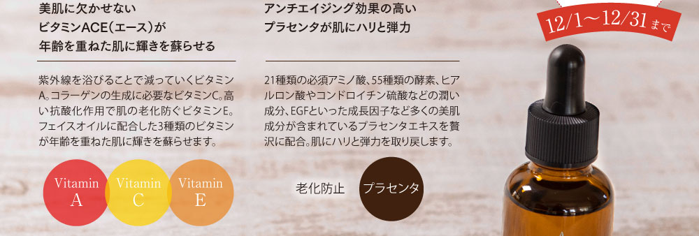 今なら2個購入で2640円もお得！12月1日から12月31日まで