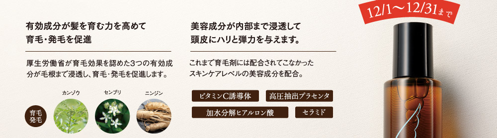 今なら2個購入で2640円もお得！12月1日から12月31日まで