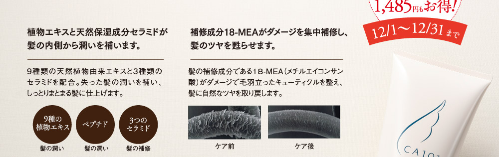 今なら2個購入でチューブタイプが924円もお得！詰替用パウチは1485円もお得！12月1日から12月31日まで