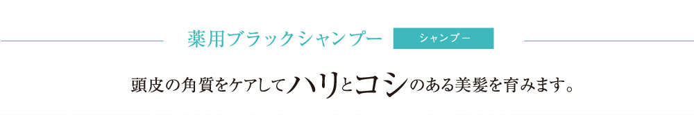 薬用ブラックシャンプー 頭皮の角質をケアしてハリとコシのある美髪を育みます。