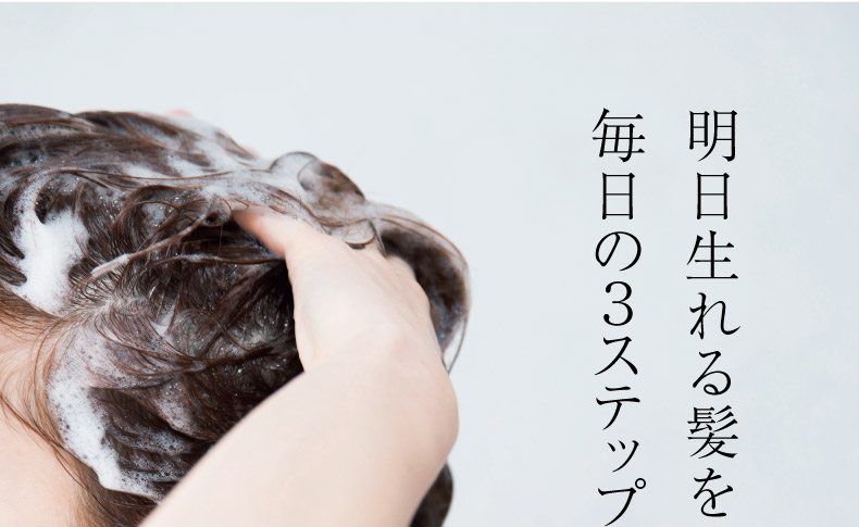 明日生れる髪を美しくする毎日の３ステップケア