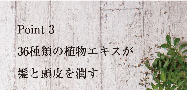 Point 3 36種類の植物エキスが髪と頭皮を潤す