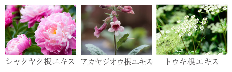シャクヤク根エキス アカヤジオウ根エキス トウキ根エキス