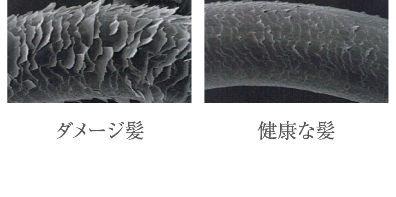画像：ダメージ髪 健康な髪