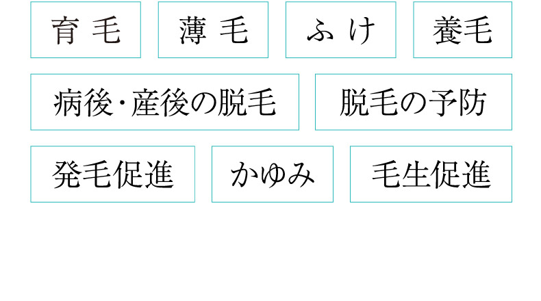 育毛 薄毛 ふけ 養毛 病後・産後の脱毛 脱毛の予防 発毛促進 かゆみ 毛生促進