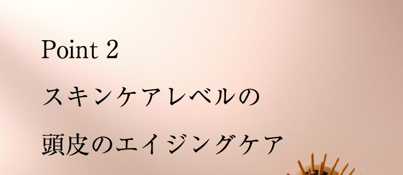 Point 2 スキンケアレベルの頭皮のエイジングケア