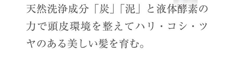 天然洗浄成分「炭」「泥」と液体酵素の力で頭皮環境を整えてハリ・コシ・ツヤのある美しい髪を育む。